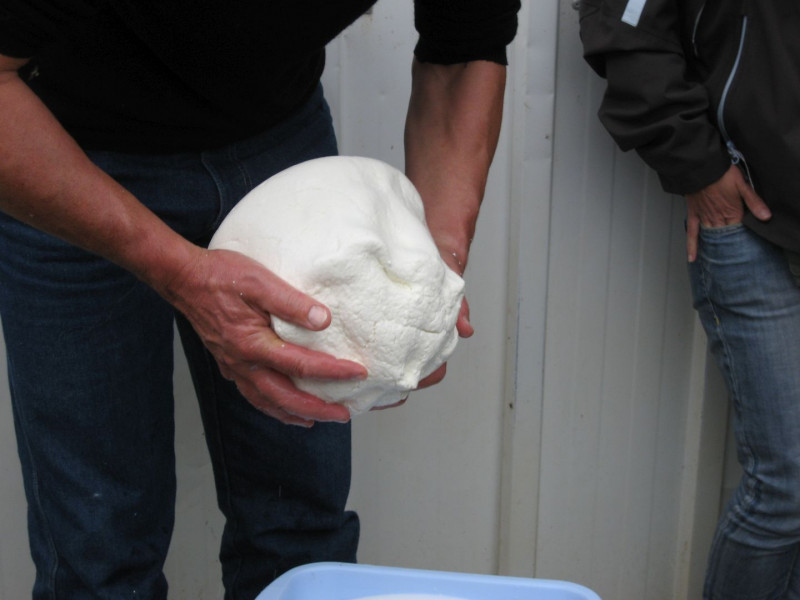 ferme-badie-photo-boule-fromage