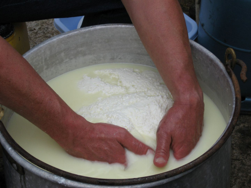 ferme-badie-photo-fromage