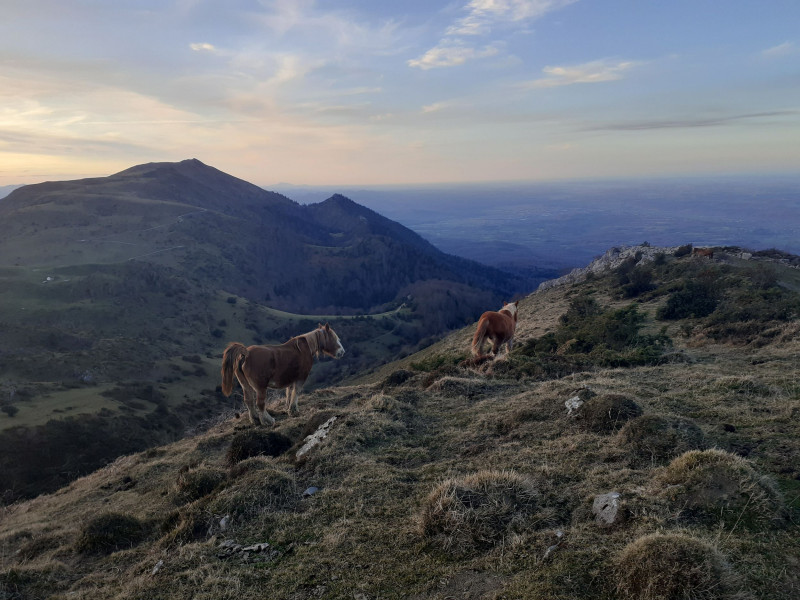 montagne©sylvain-mateo-2
