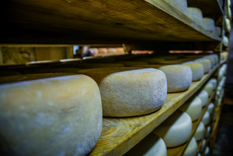 saloir-ossau1-garderes-10185