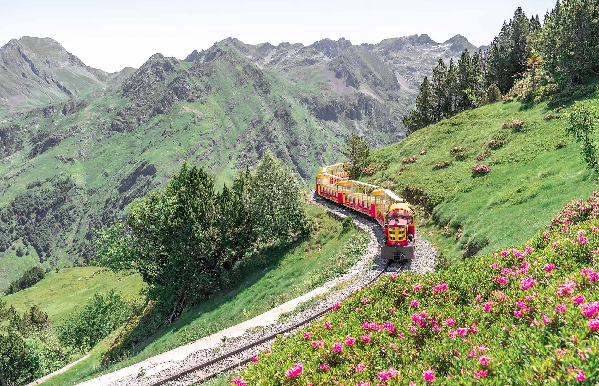 The Artouste train with rhododendrons - &copy; Régie d'Artouste