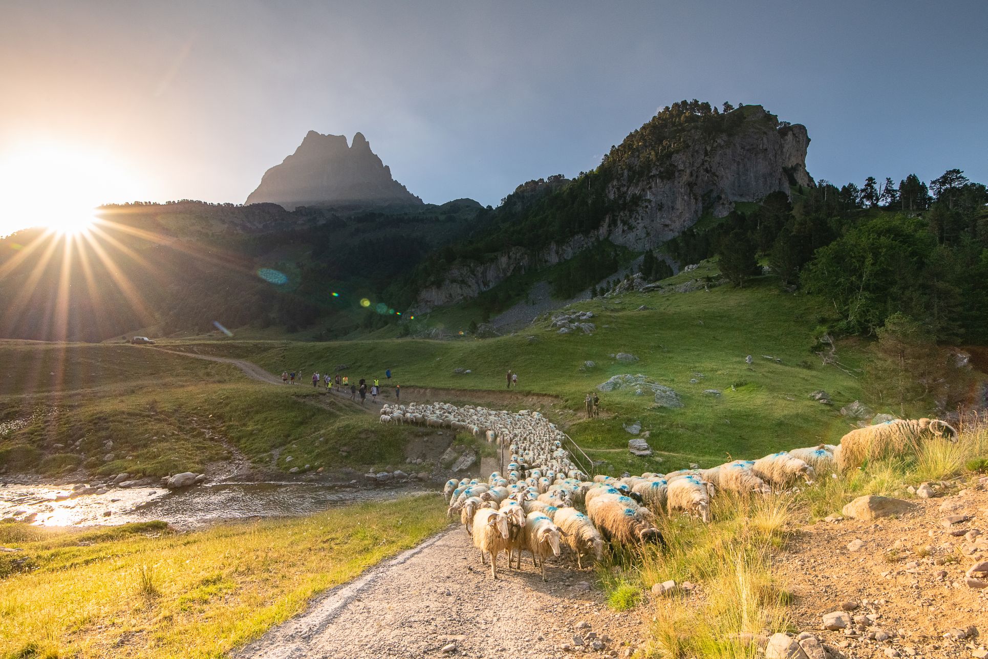 transhumance-ossau2-rivas-3635