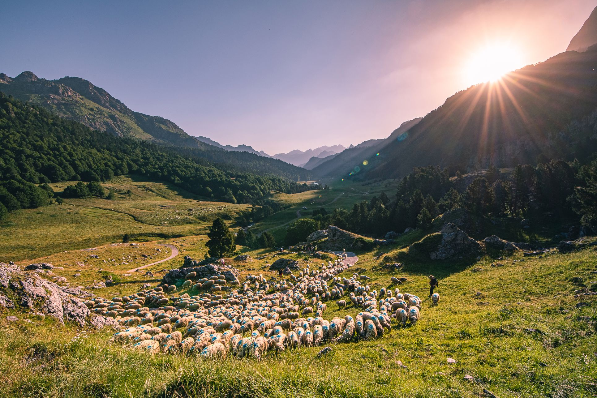 transhumance-ossau5-rivas-3636