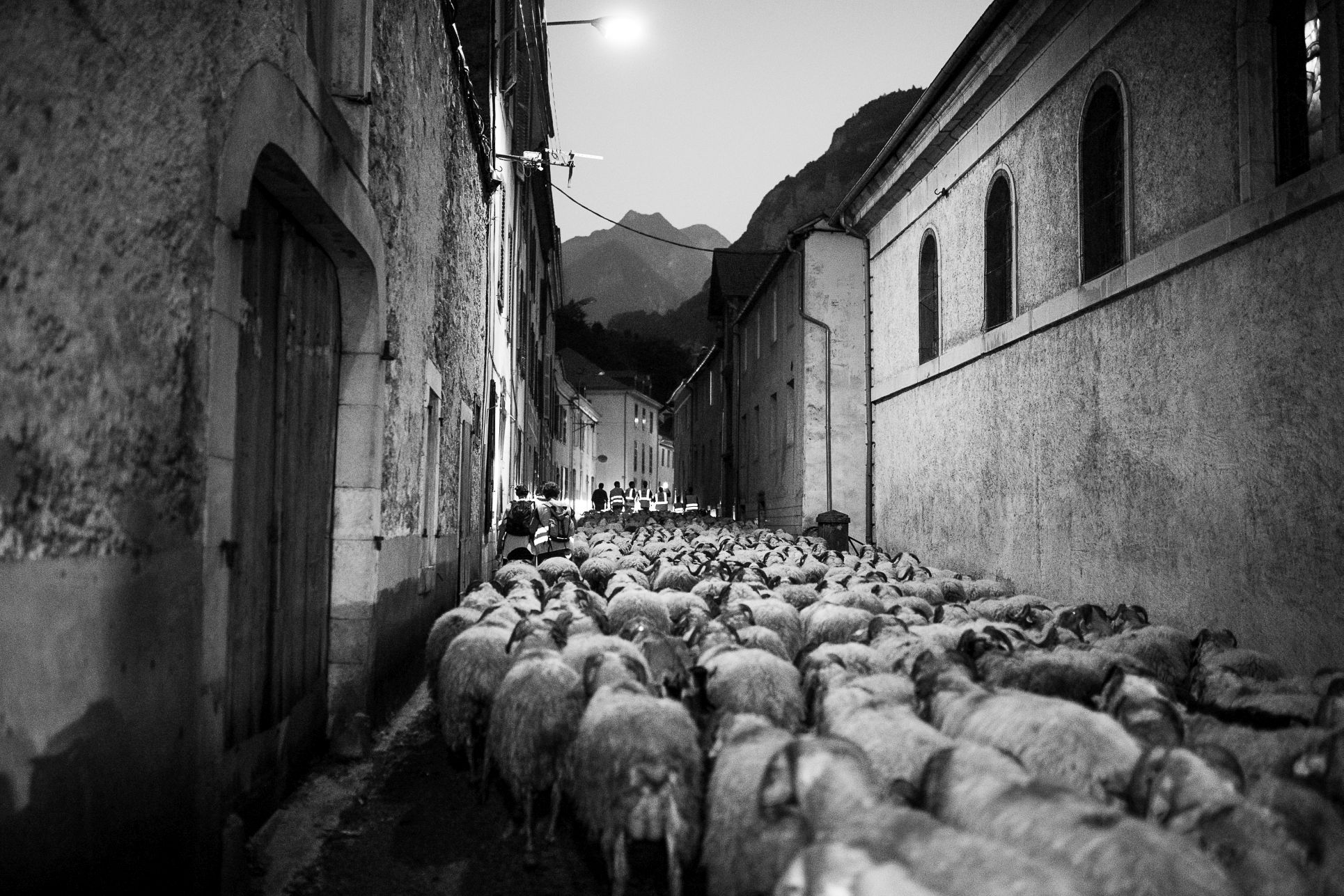 transhumance-rivas-3637