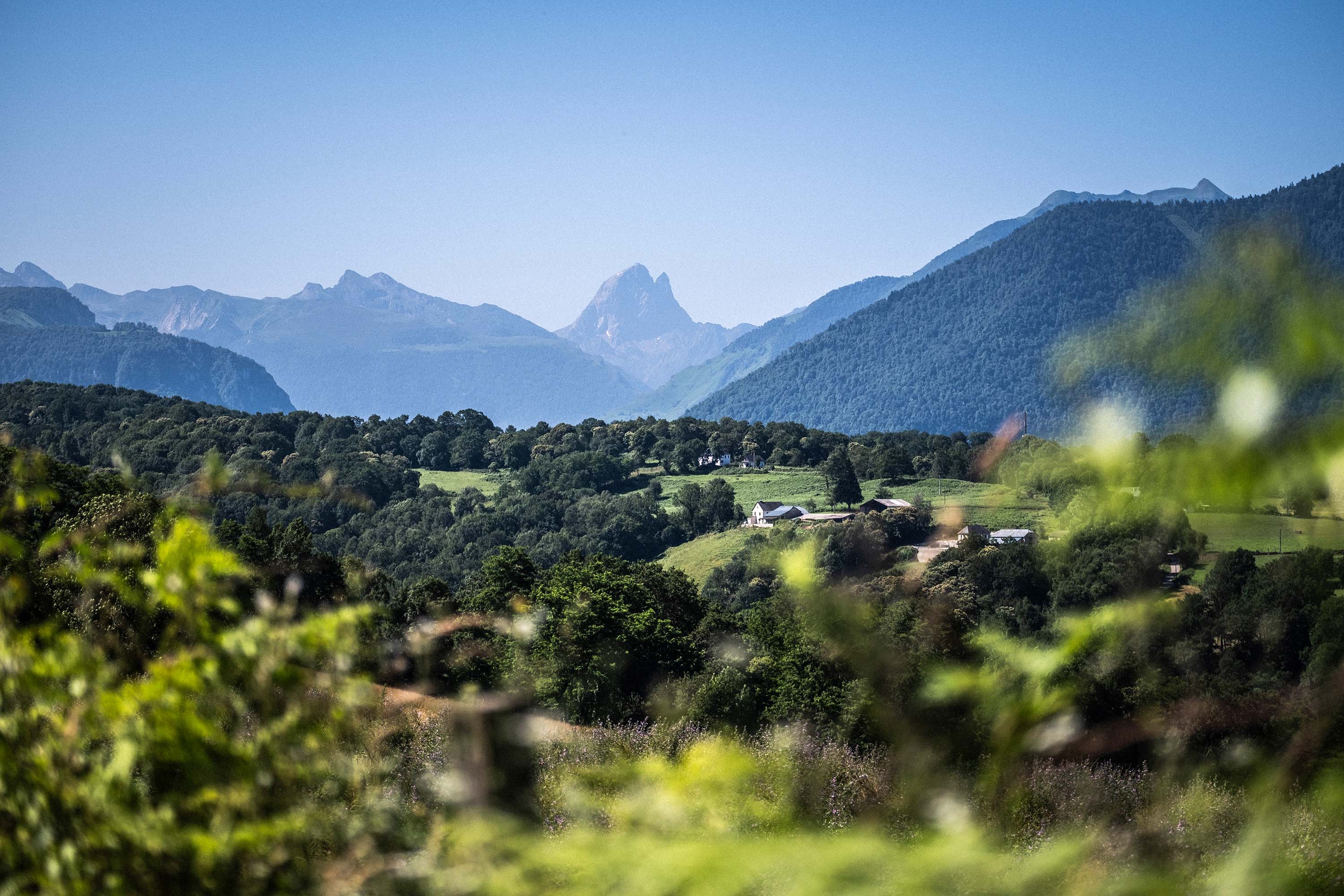 Croix de Buzy - &copy; Adrien Basse-Cathalinat