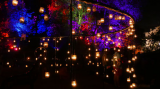 Eclats de feux 2