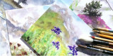 Exposition acryliques et aquarelles