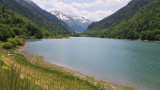 Fario-5©Balaresque-12
