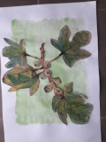 Aquarelle2