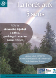 La foret aux 5 sens