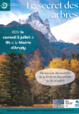 Le secret des arbres