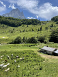cabane estive
