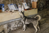 img-3760-min-240134