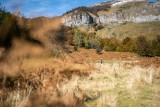img-4230-5109