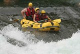 img-4481-1771