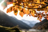 img-4591-5107