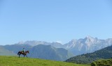 rando-equestre-plateau-du-benou-p-gaillard-convertimage-2865