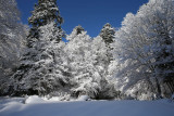 randonneehiver-nature-poums64-81555