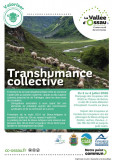 transhumance 1