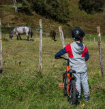 voie-verte-velo-enfant2-p-gaillard-538084