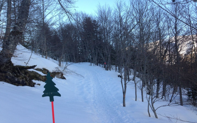 1440 bois noirIMG_4689