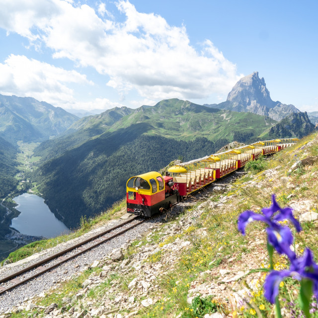 train