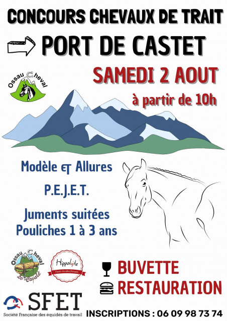 Concours chevaux de traits