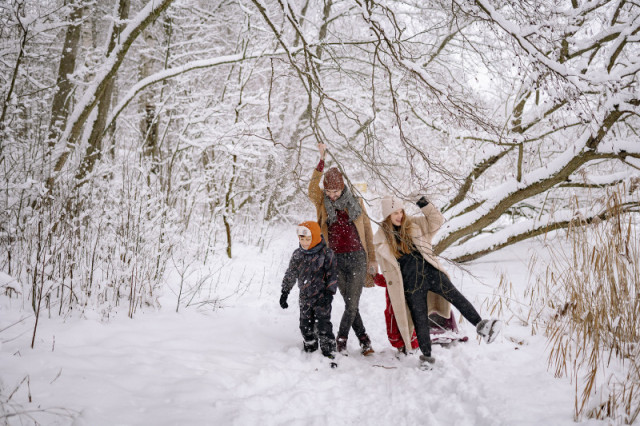 800x600-famille-neige-paysage1-pexels-80911-462495