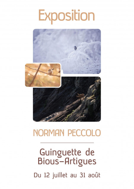 expo Norman Peccolo
