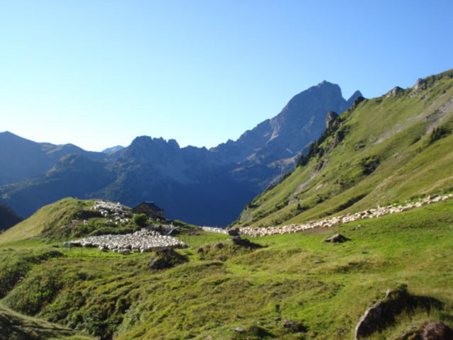 Cabane-Aule1©OTLaruns-AL