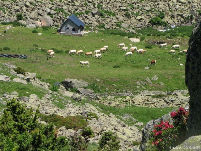 Cabane-Glere©Andre-Durand