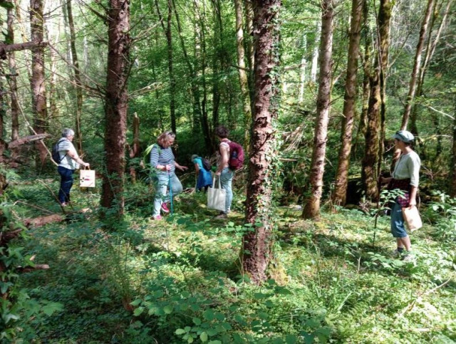 Atelier découverte plantes sauvages comestibles