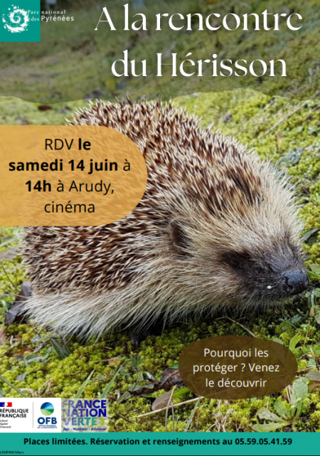 A la rencontre du hérisson