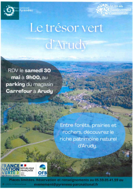 Capture d’écran 2026-05-04 trésor vert