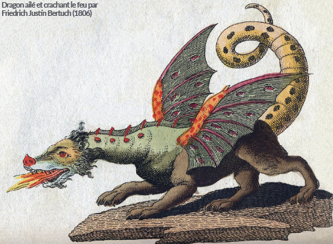 Expo dragons