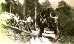 Sur les pas des Guerrilleros