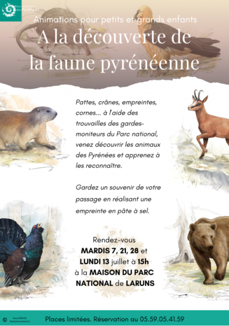 Faune Faune