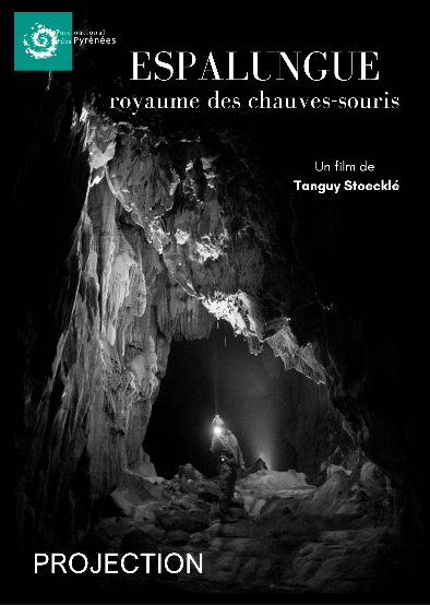 Espalungue, le royaume des chauves-souris