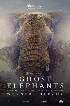 Ghost Elephants