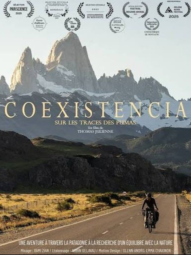 Coexistencia, puma