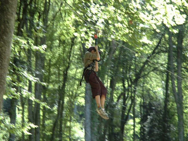 FORET SUSPENDUE