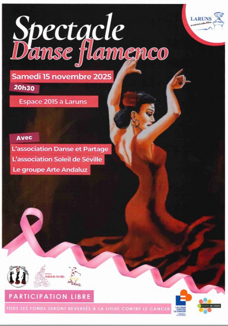 Flamenco espace 2015