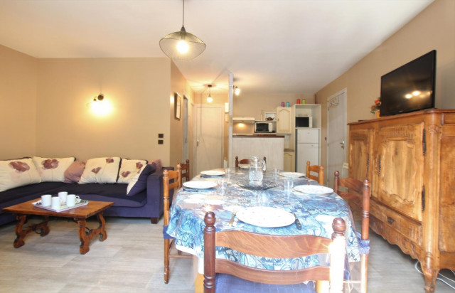 salon et coin cuisine