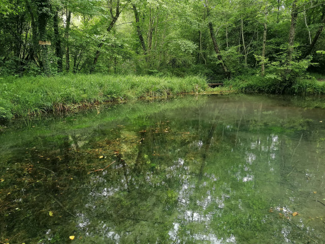 IMG_20240621_115941 IMG_20240621_115941