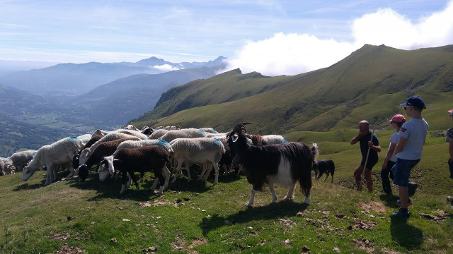 JP-Pommies12©JP-Pommies