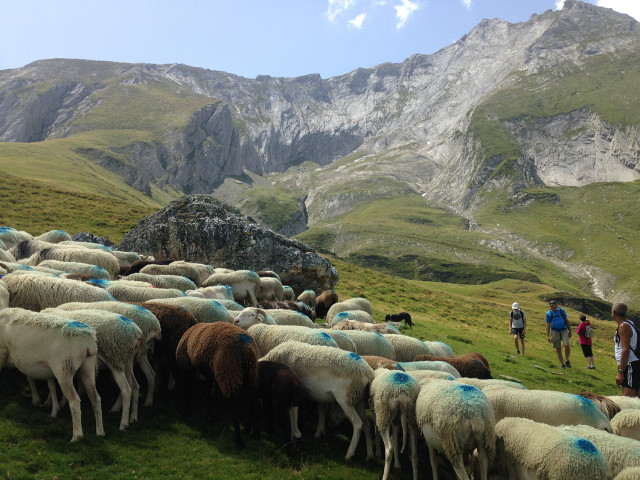 JP-Pommies9©JP-Pommies