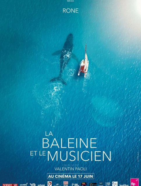 La baleine et le musicien La baleine et le musicien