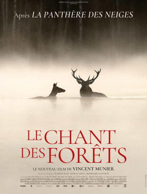 Le chant des forêts