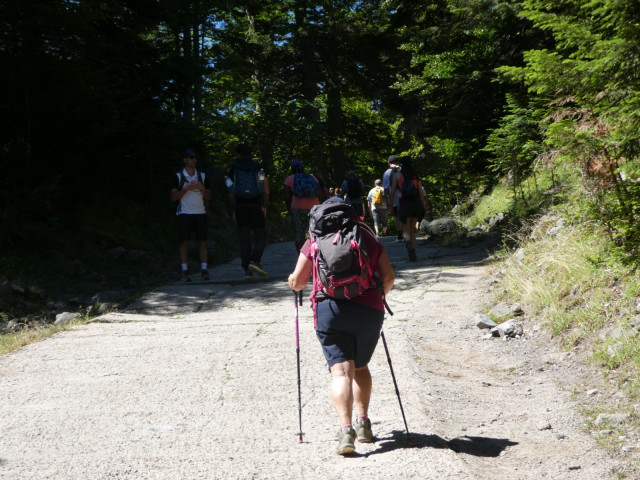 Montée vers le plateau de Bious