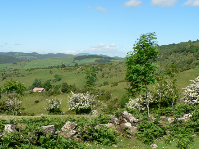 PiÃ©mont PyrÃ©nÃ©en 1 Â©CDT64